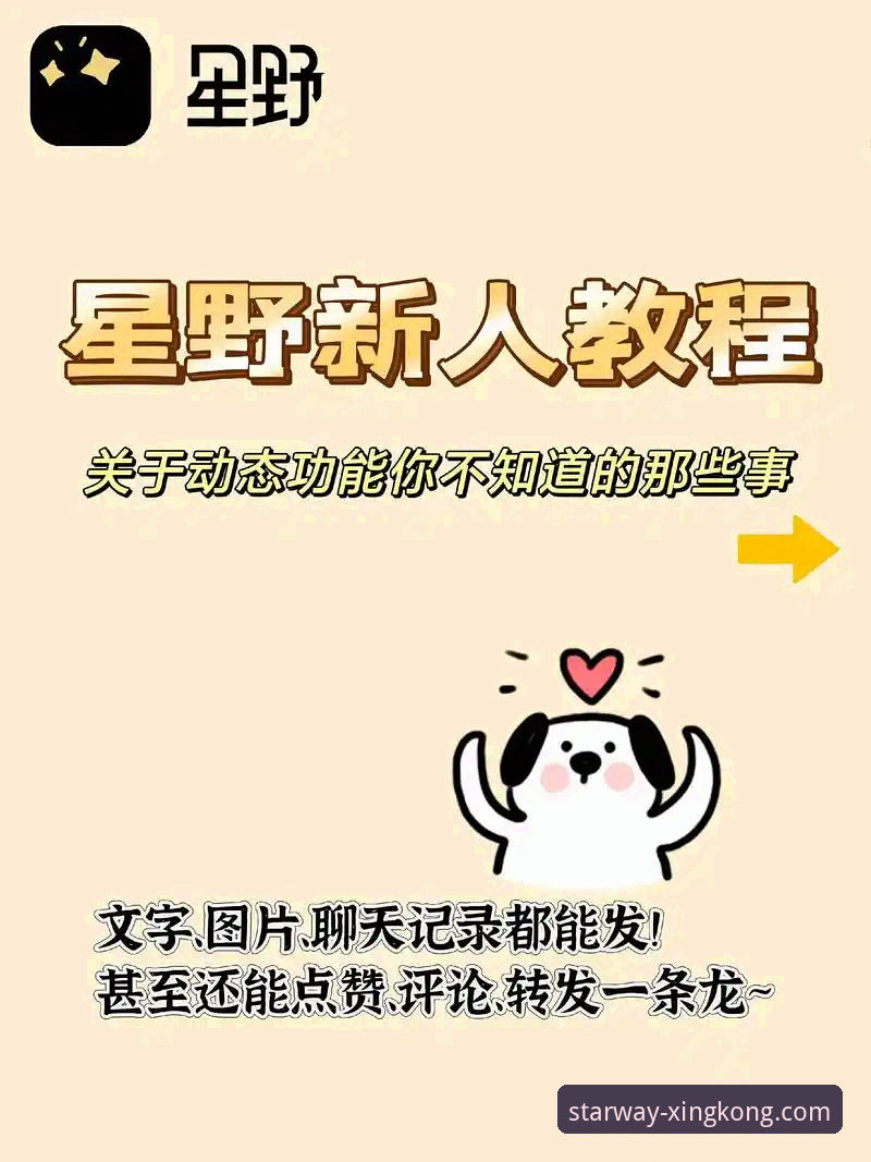 星空入口平台安全服务使用指南：从寻找到无忧体验的完整路径